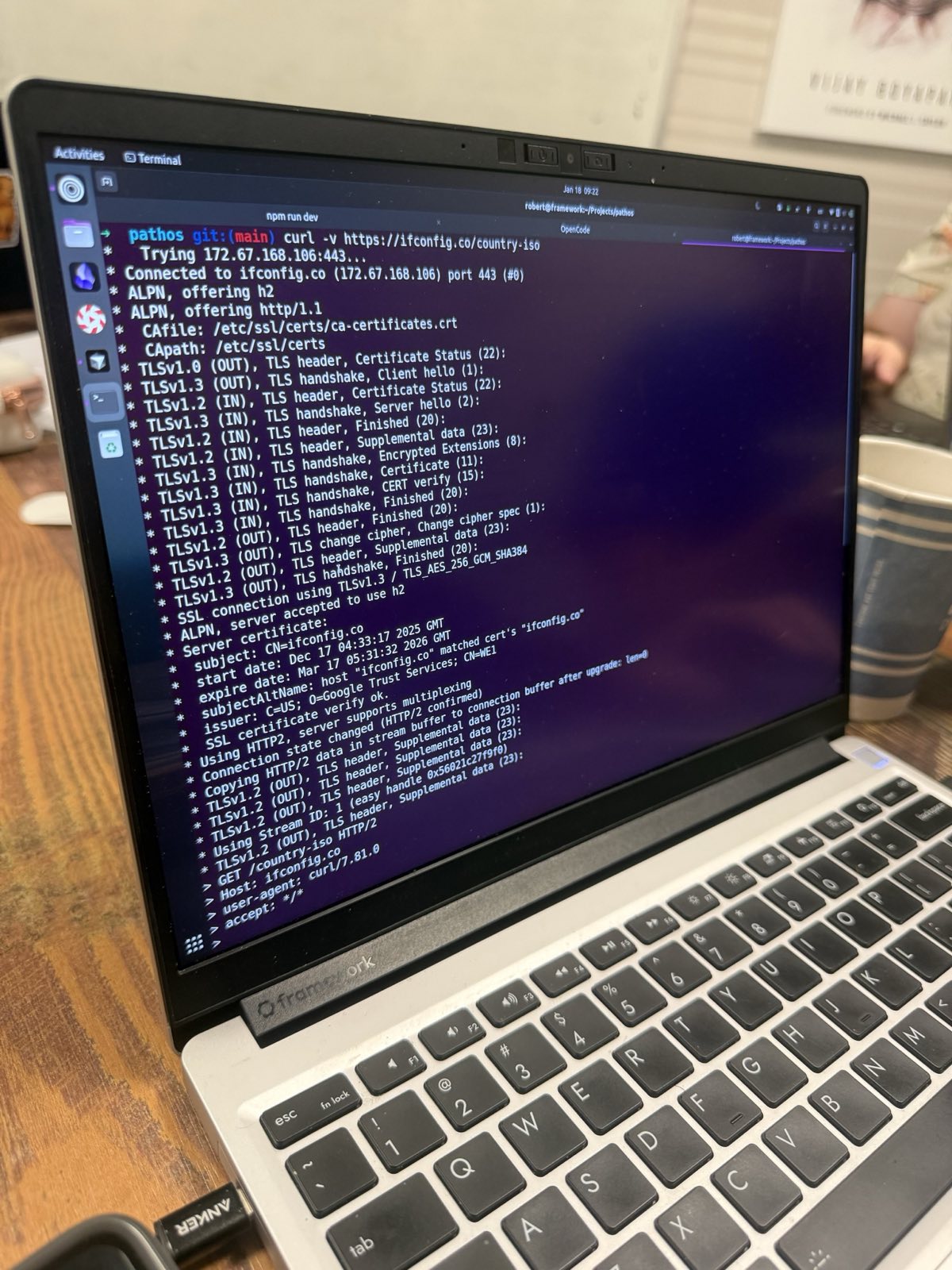 Laptop showing terminal with Agora development environment running